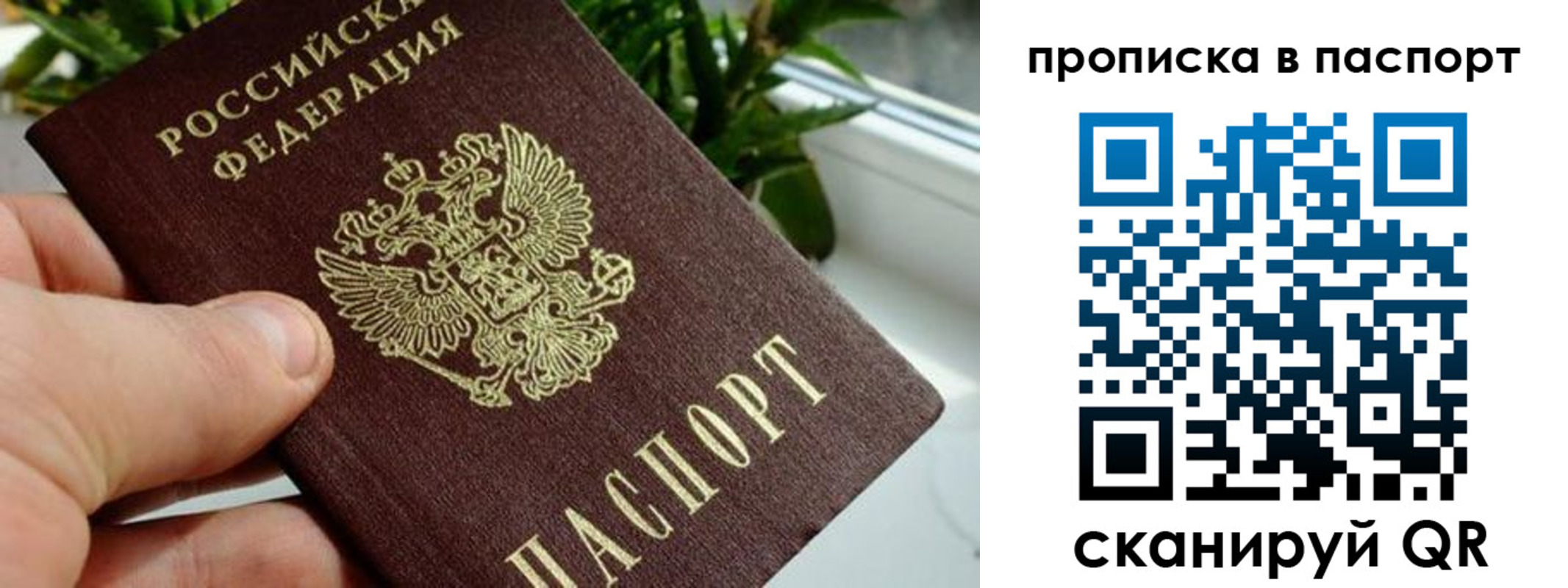 пропишу в квартире в Саках